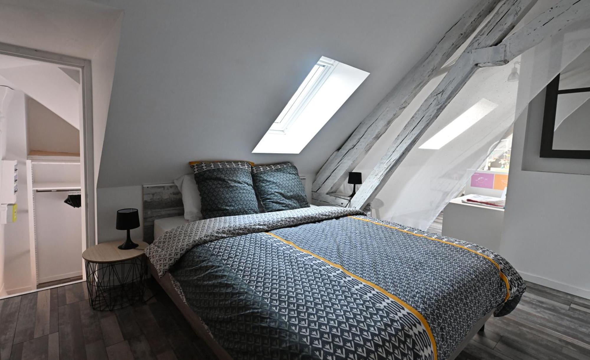 3 Appartements Premium Au Pied De La Cathedrale - Hypercentre Sens Eksteriør billede